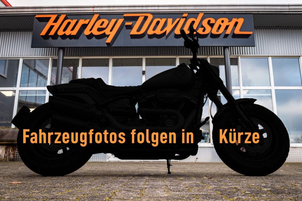 Harley-Davidson Sportster XL883R Roadster - MILLER ABGASANLAGE -