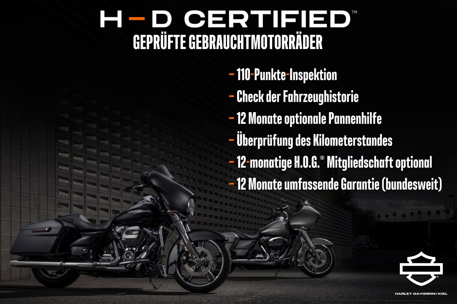 Fahrzeugabbildung Harley-Davidson Sportster XL883R Roadster - MILLER ABGASANLAGE -